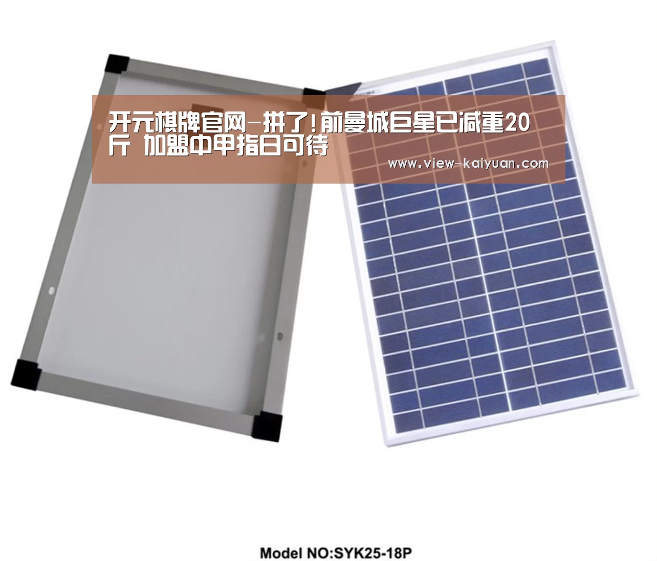 开元棋牌官网-拼了!前曼城巨星已减重20斤 加盟中甲指日可待(图2) 开元棋牌app