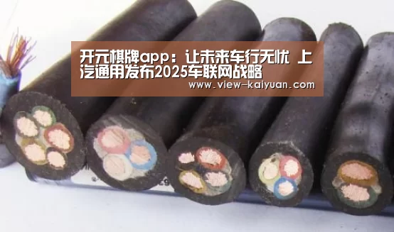 开元棋牌电脑版