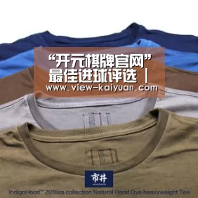 开云体育官网