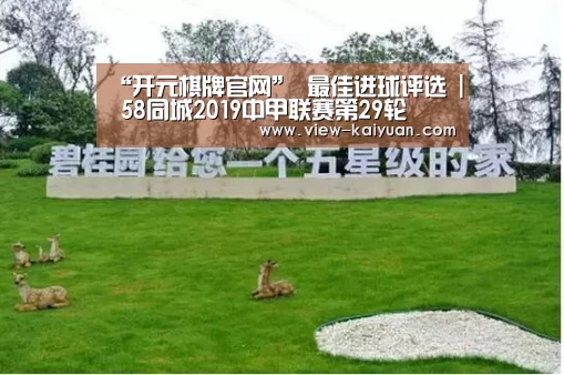 开云体育官网